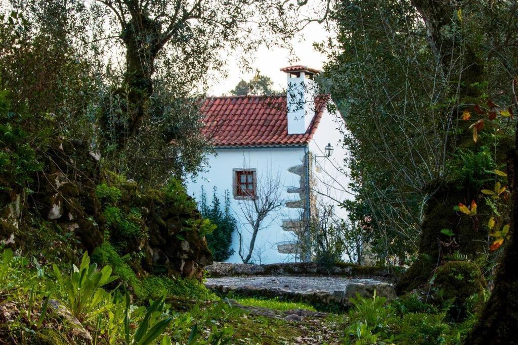 Casa Do Vale Do Papo Villa Pombal  Bagian luar foto
